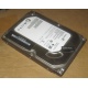 Жесткий диск HP 500G 7.2k 3G HP 616281-001 / 613208-001 SATA (Тольятти)