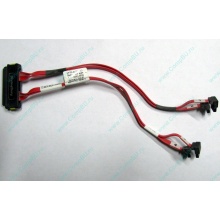 SATA-кабель для корзины HDD HP 451782-001 459190-001 для HP ML310 G5 (Тольятти)
