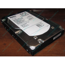 Жесткий диск 300Gb 15k Dell 9CH066-050 6G SAS (Seagate Cheetach ST3300656SS 15K.6) - Тольятти